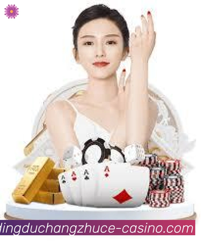 未来规划
